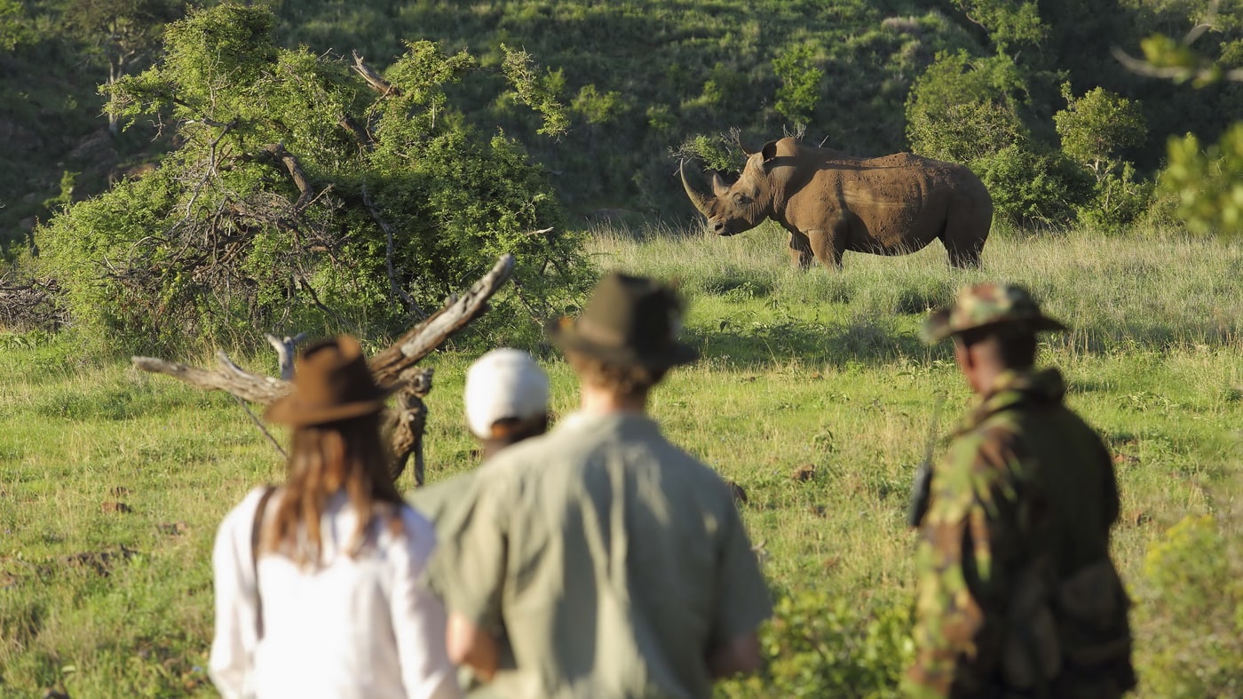 afrika safari urlaub bewertung